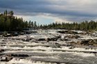 Trappstegsforsen